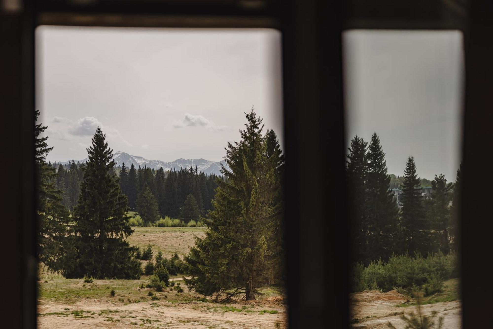 Albert Residence Aparthotel Grand Chalet With Free Spa Access To Alpin Resort Poiana Brasov Εξωτερικό φωτογραφία