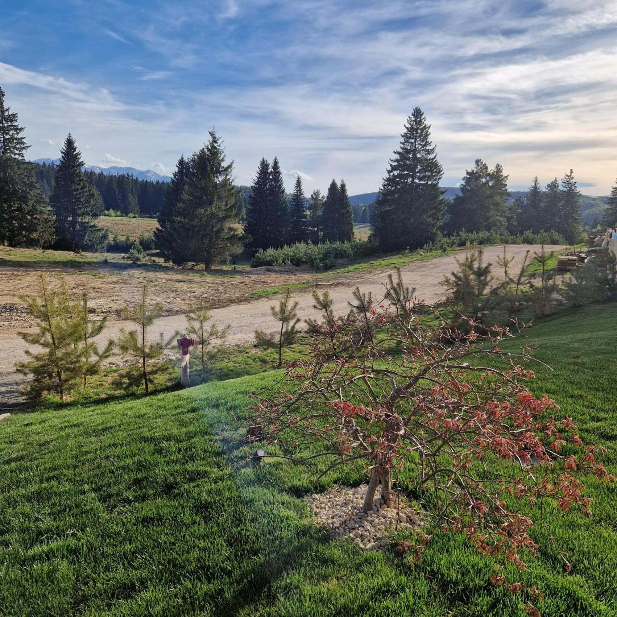 Albert Residence Aparthotel Grand Chalet With Free Spa Access To Alpin Resort Poiana Brasov Εξωτερικό φωτογραφία